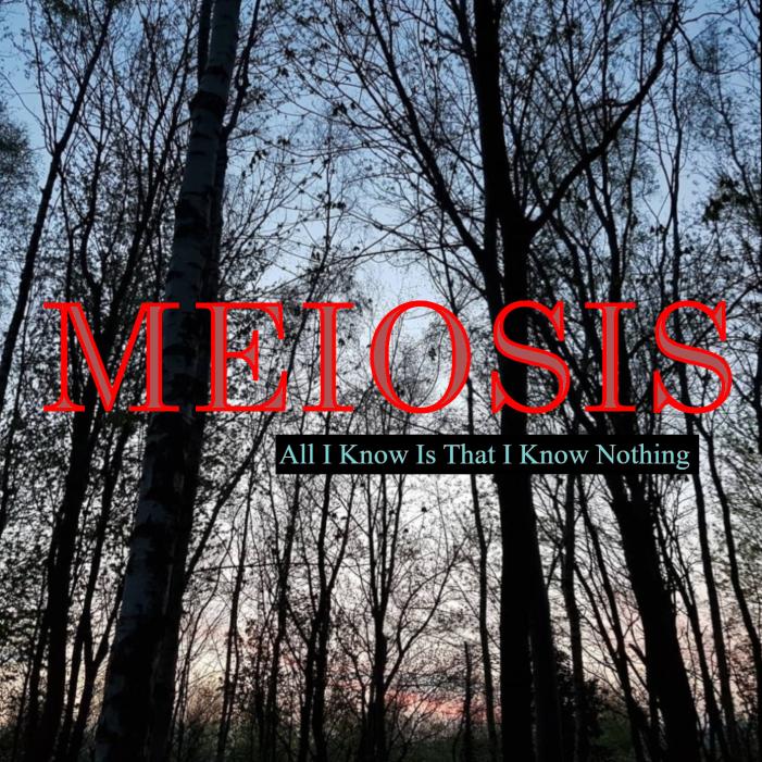 MEIOSIS 2026 Album Cover JPEG.jpg